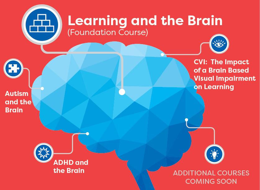 CVI-The Impact of a Brain Based Visual Impairment on Learning