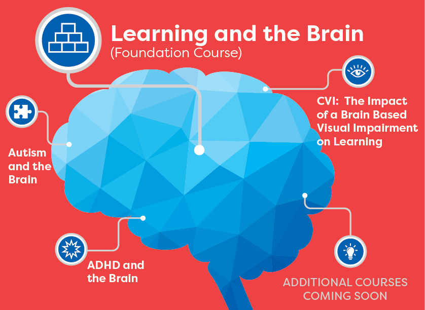 Autism and the Brain